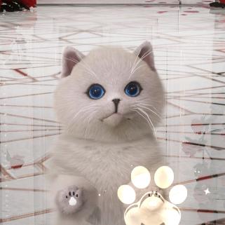 小猫蛋