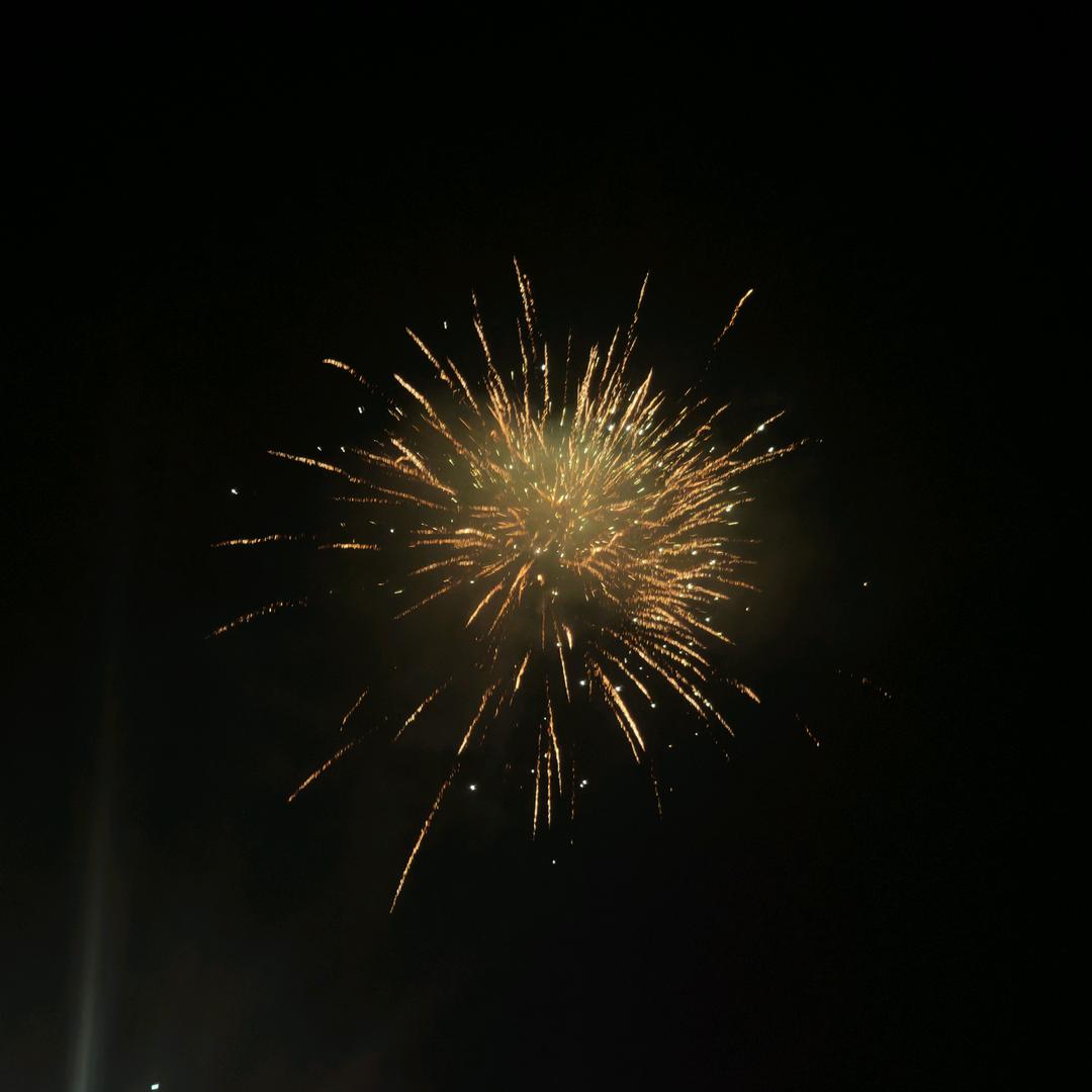 萤火虫