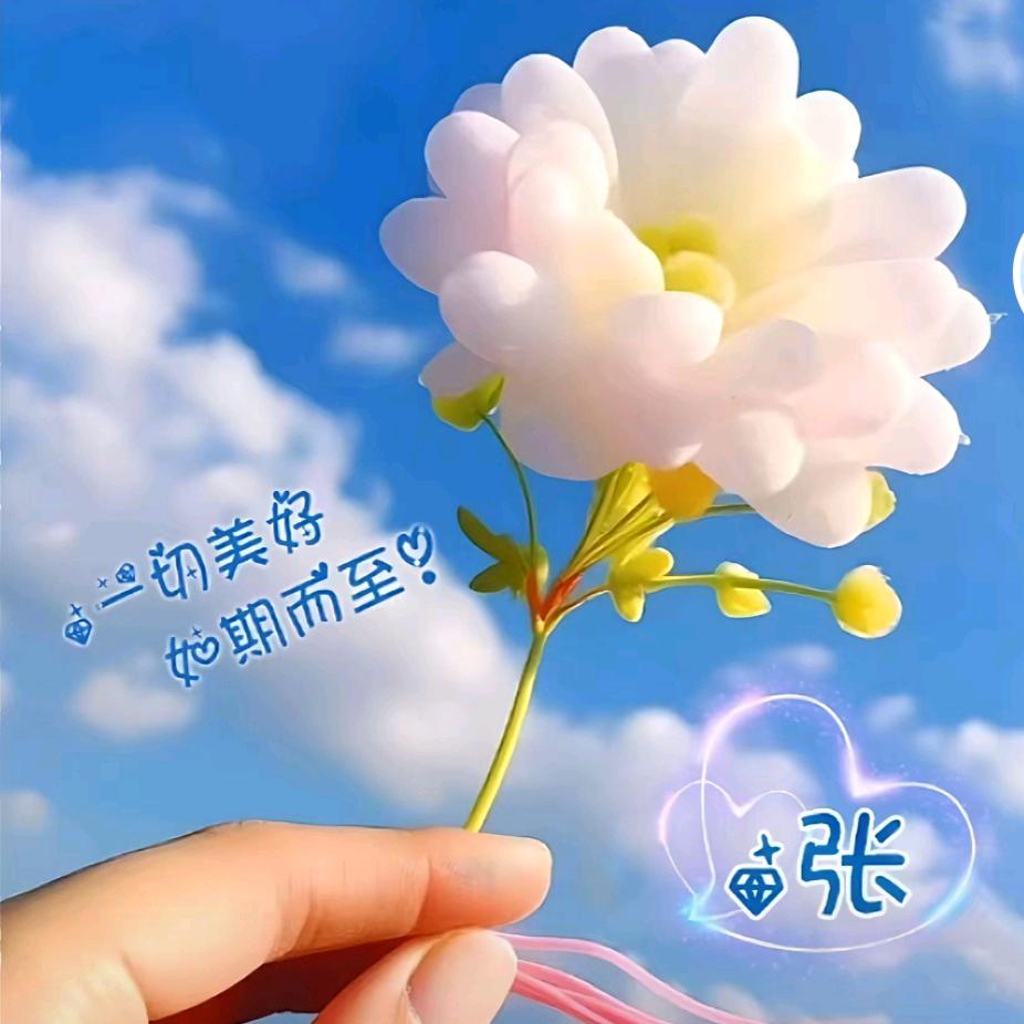 轩优宝贝