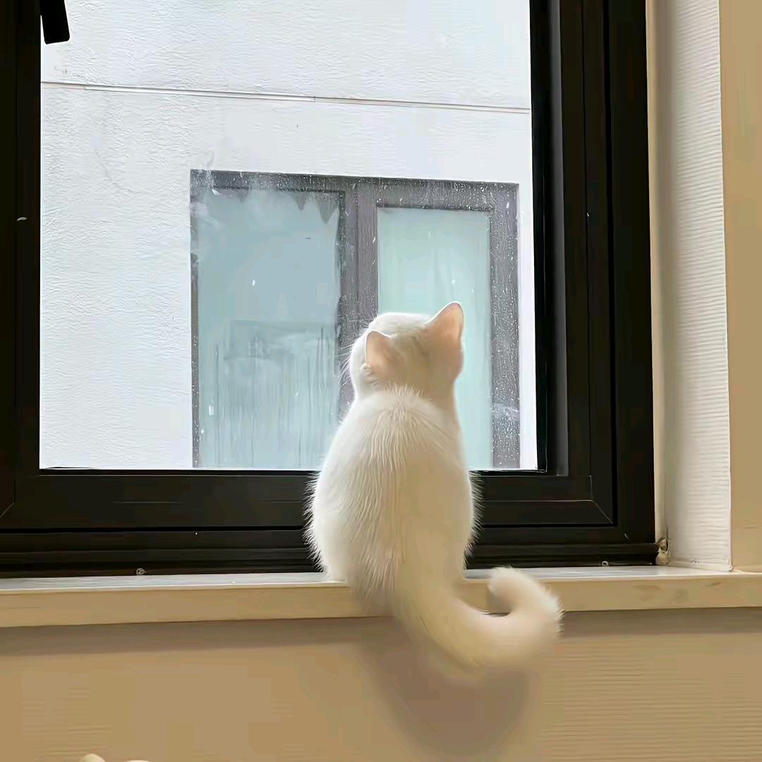 水