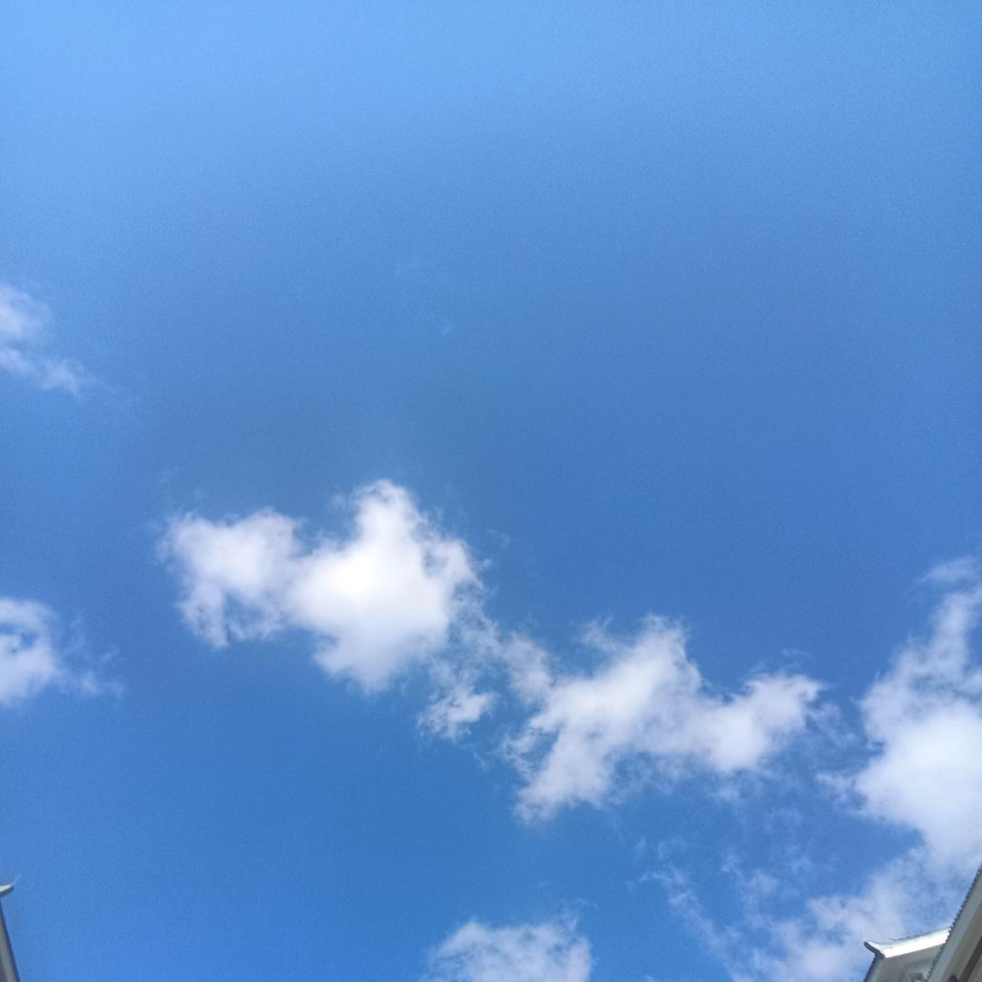 岁月无声
