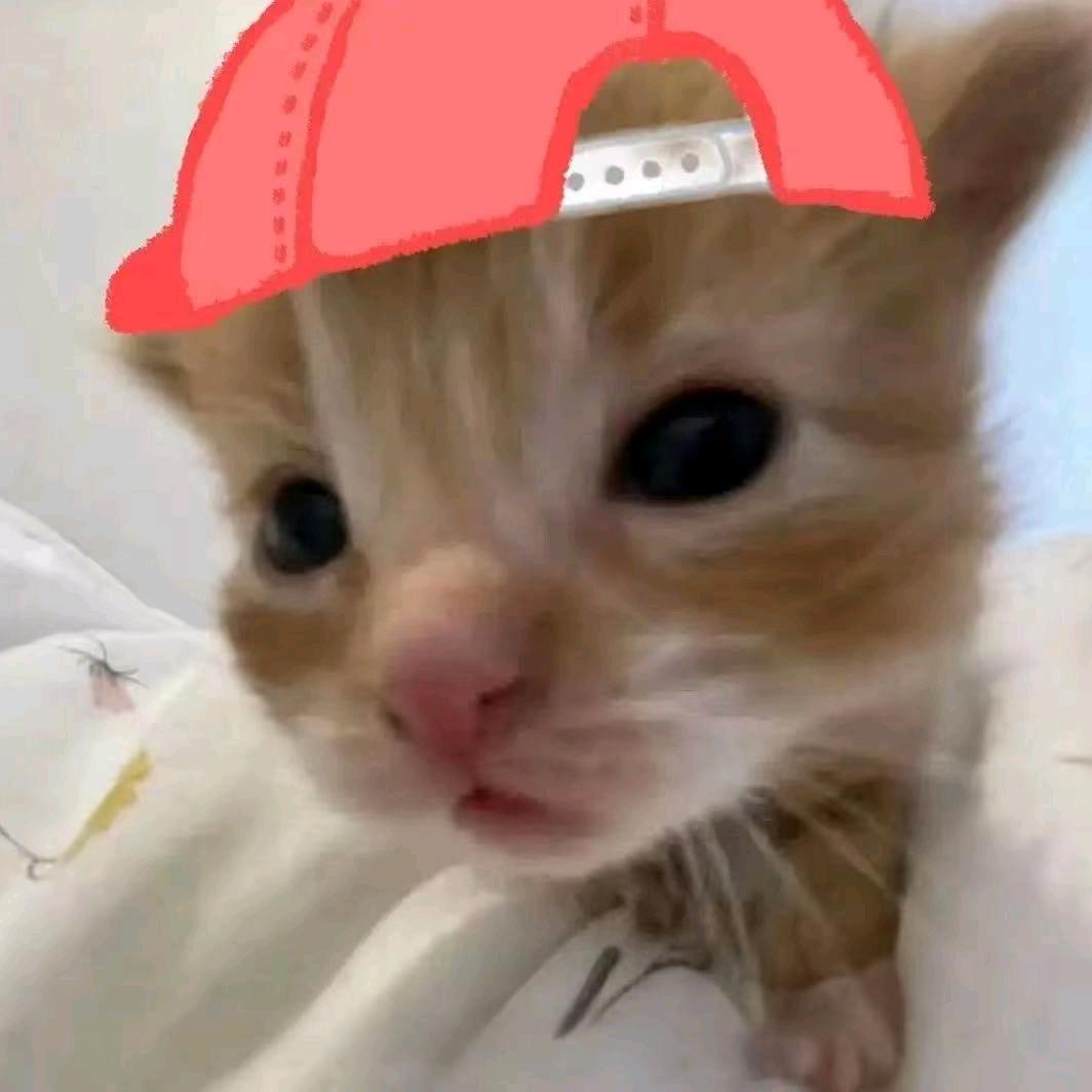 下一行