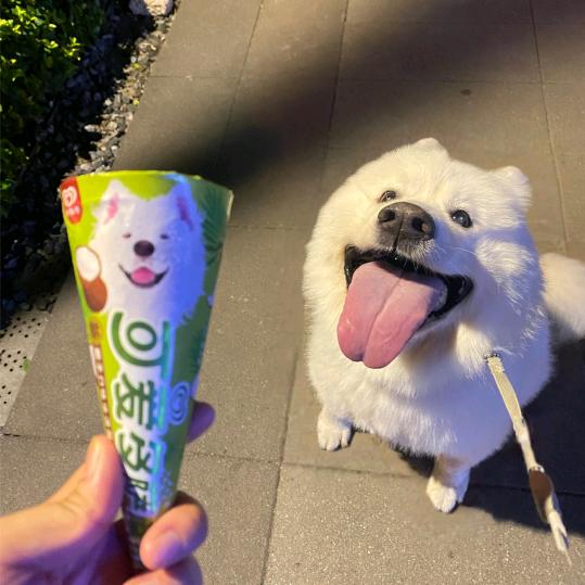 哈哈哈哈哈哈哈!