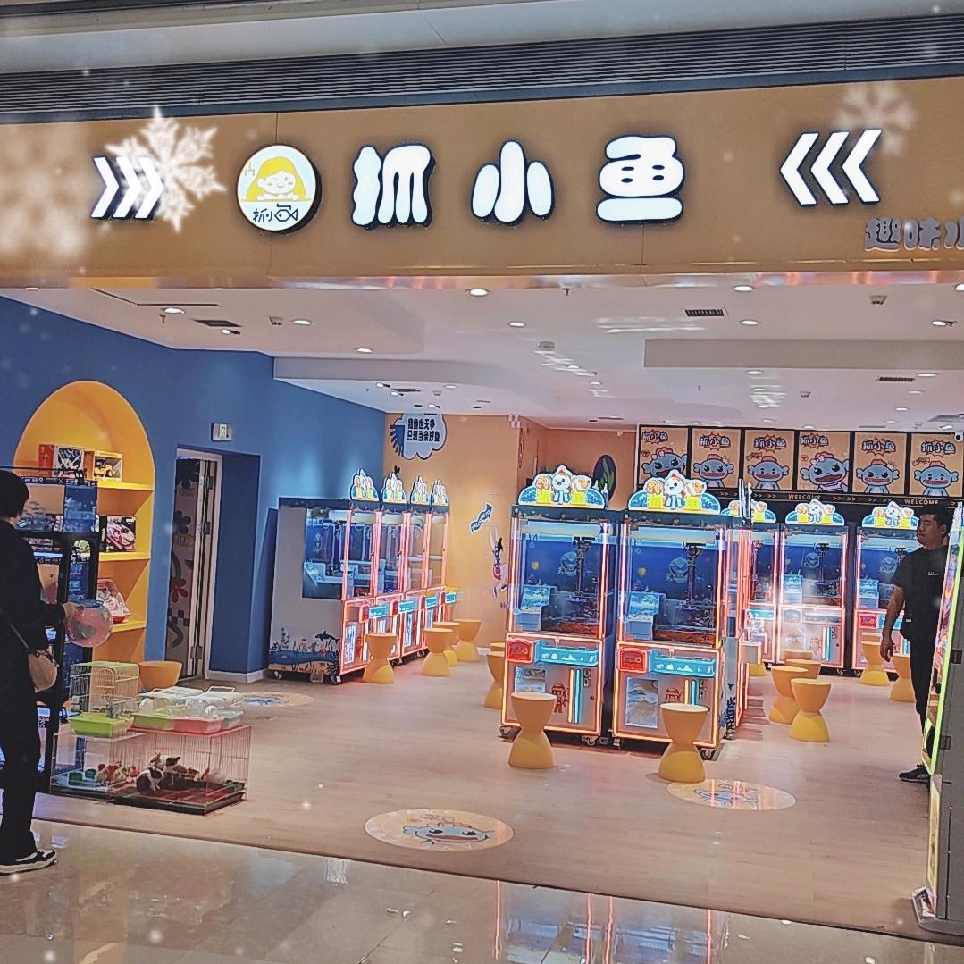 长春钜城抓小鱼