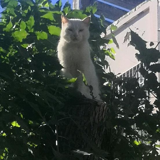 小二爱分享