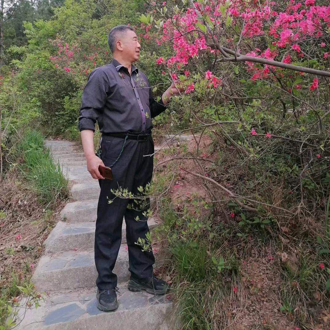 溪水杨哥