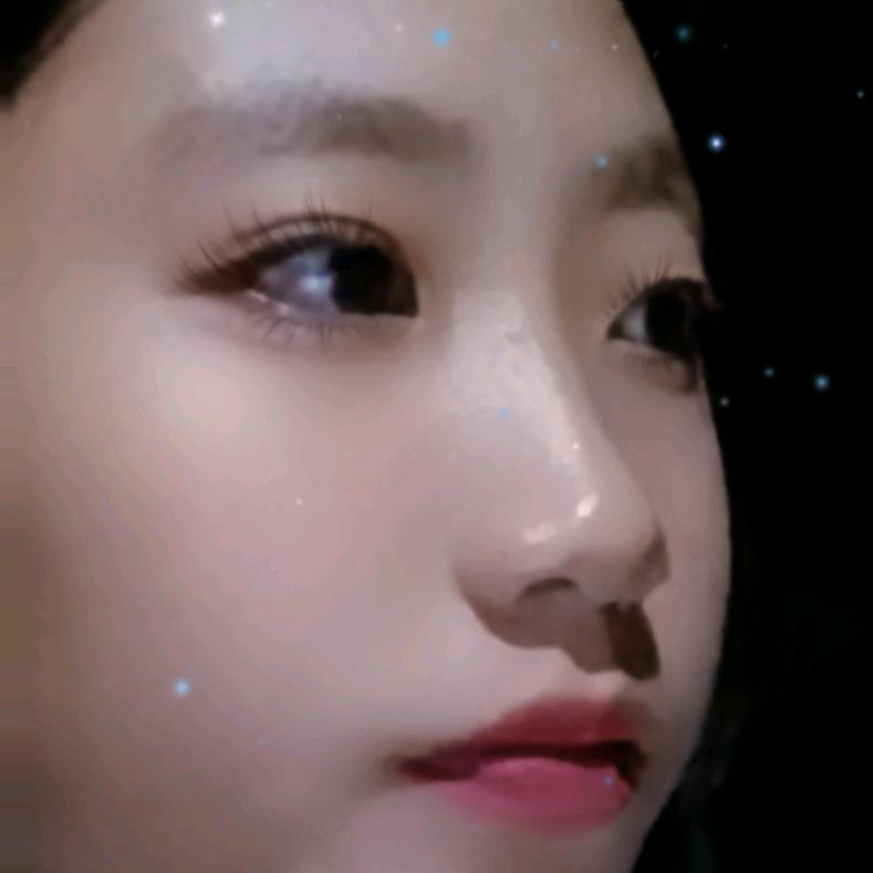 山苑花光朱雪动