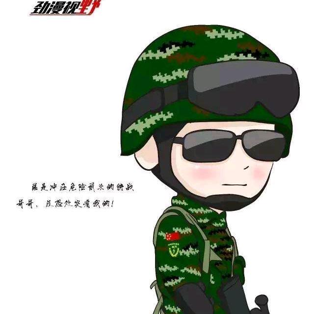 我是一枚小弹壳