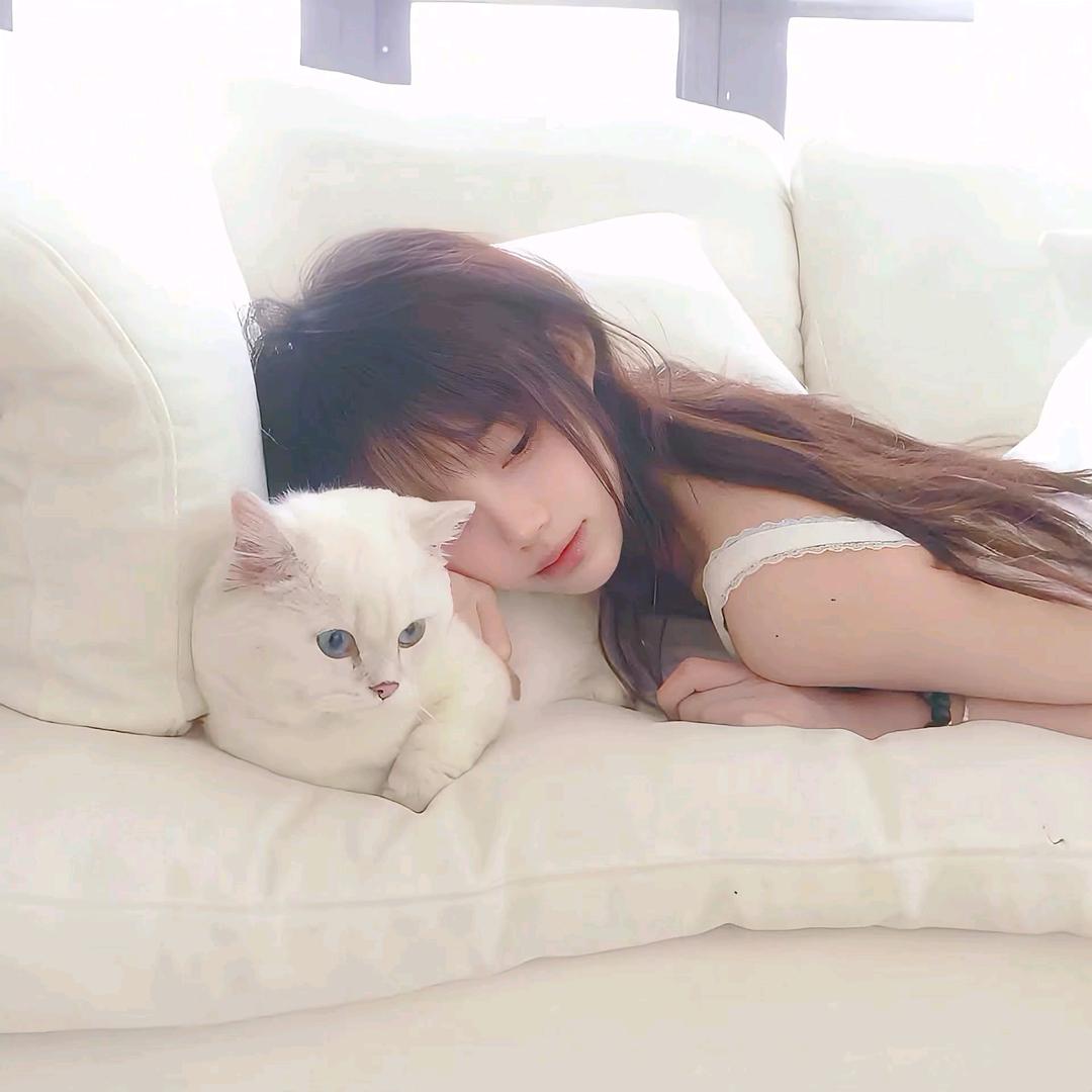 不睡只美人