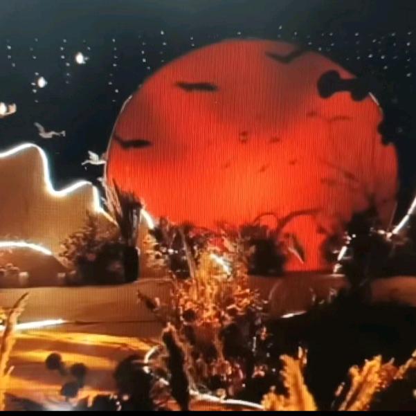 城固新天地婚庆婚纱摄影公司