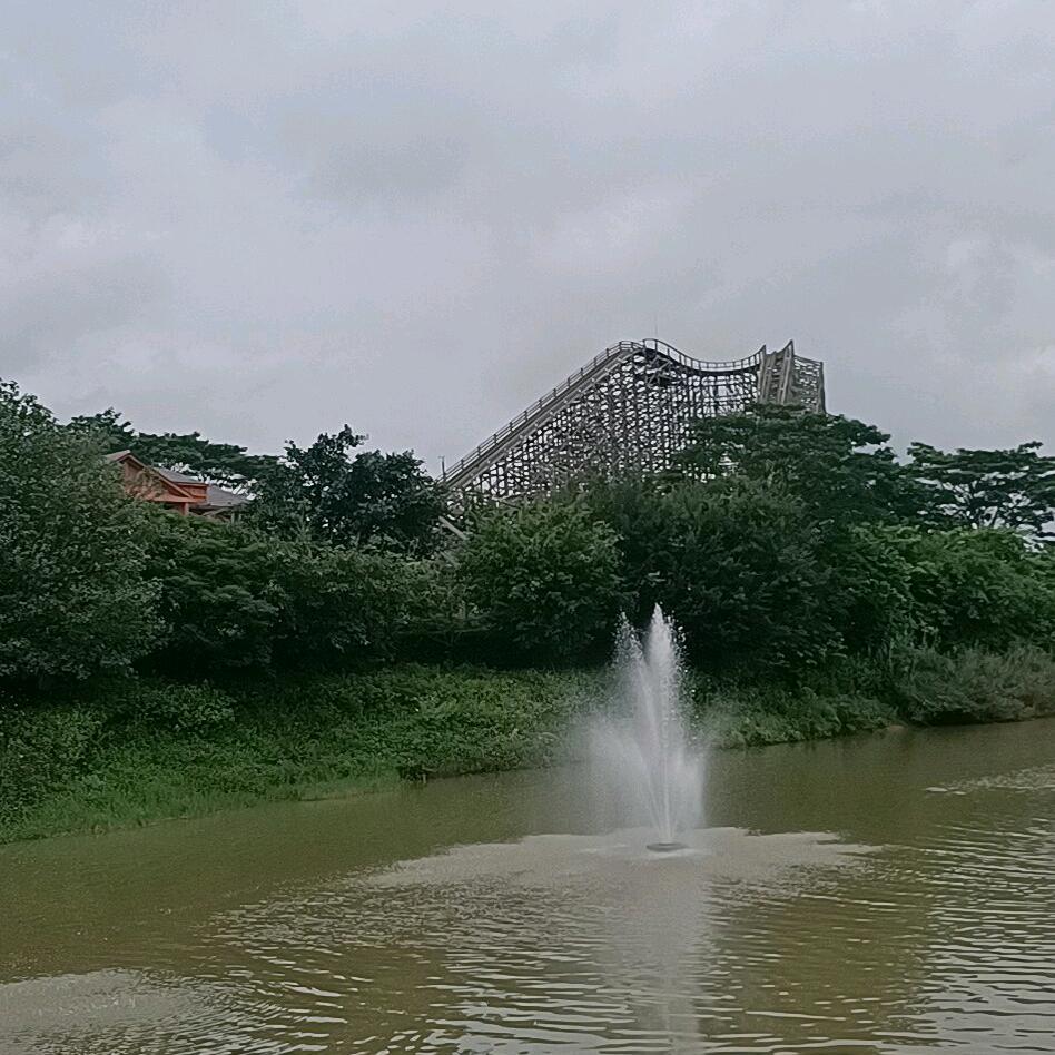 清晨煮茶