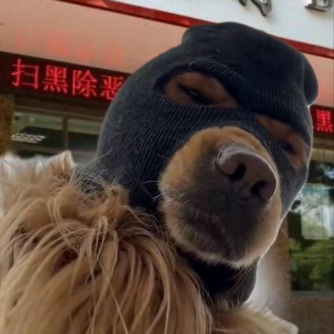 王者荣耀无双