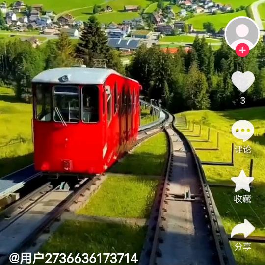 杉杉老公