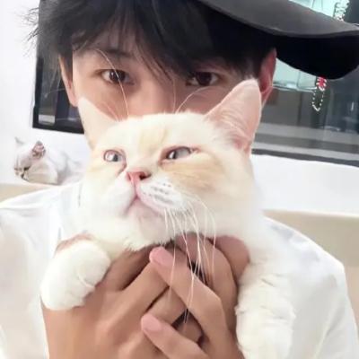 情