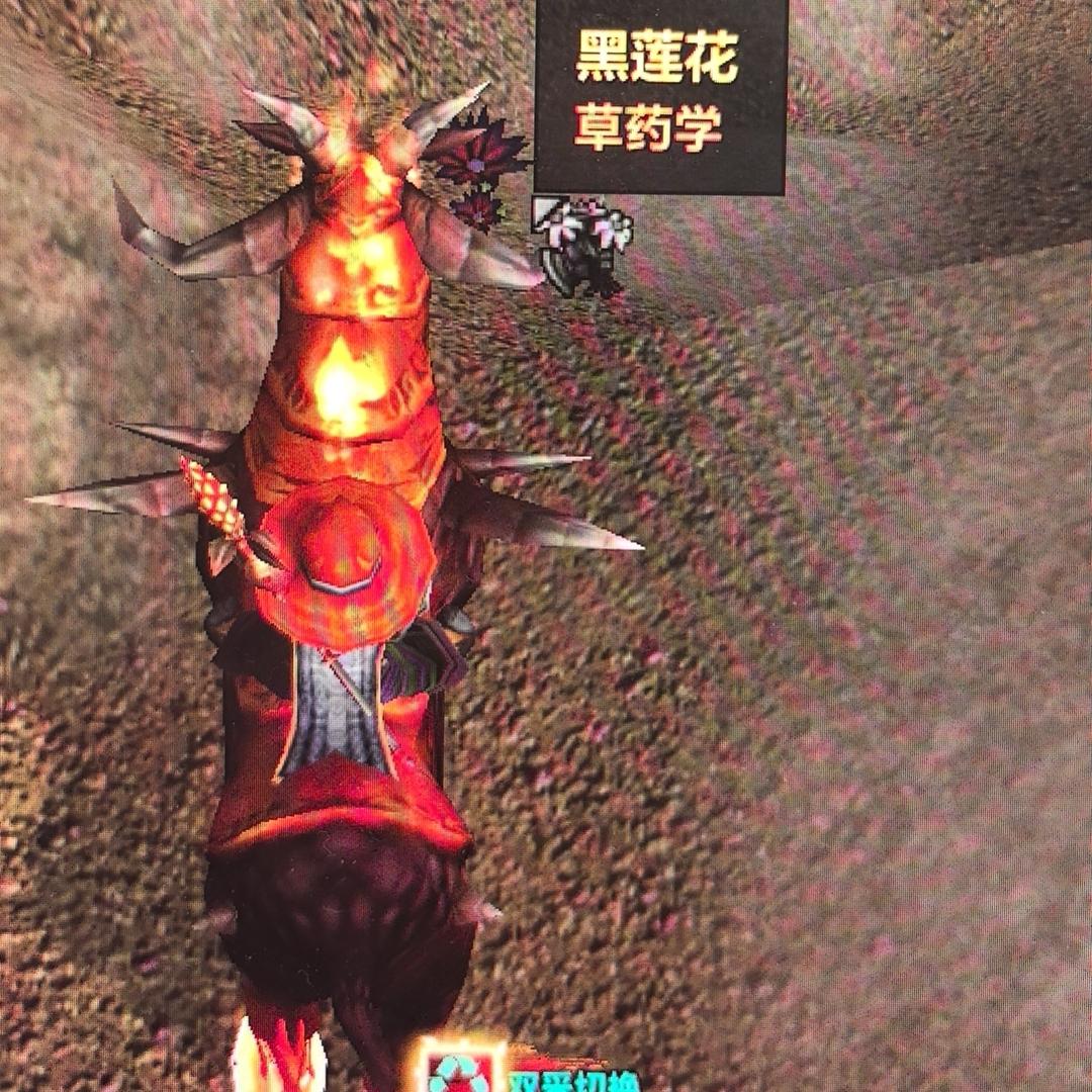 奥水黑花