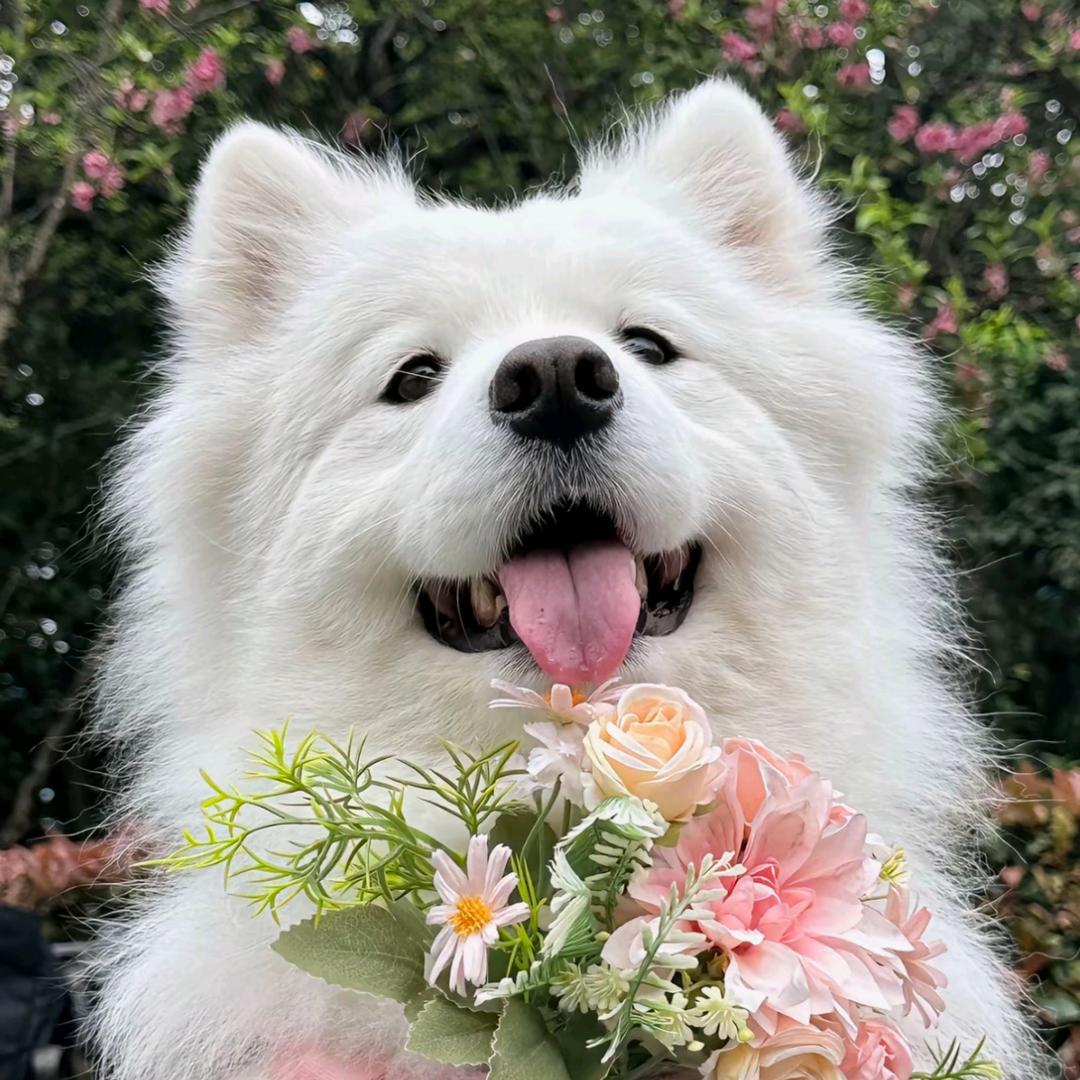 有点嚣张的小张