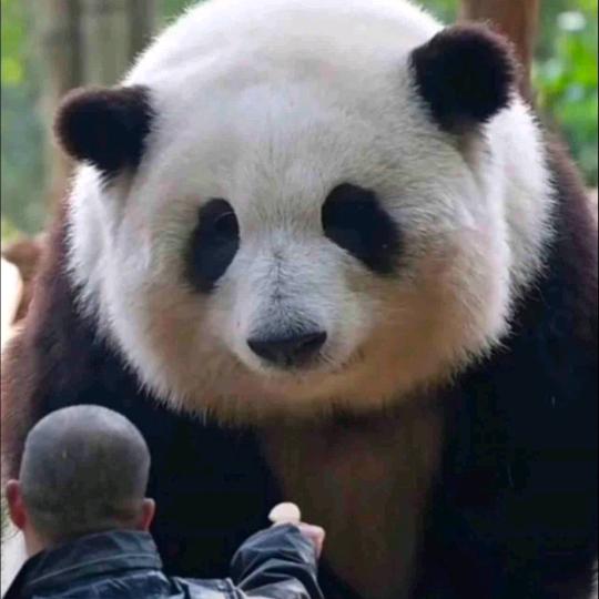 随风起舞