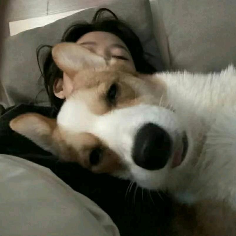 超级烦