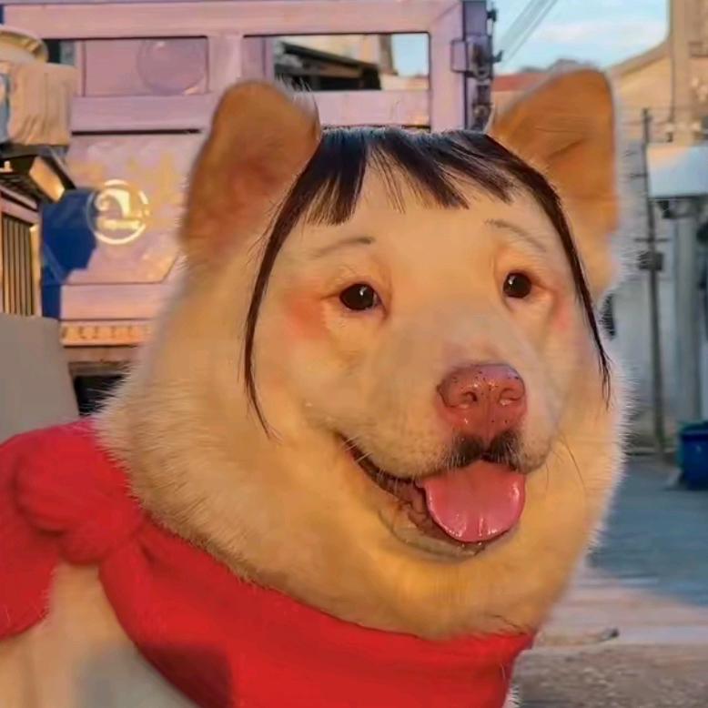 陈大帅
