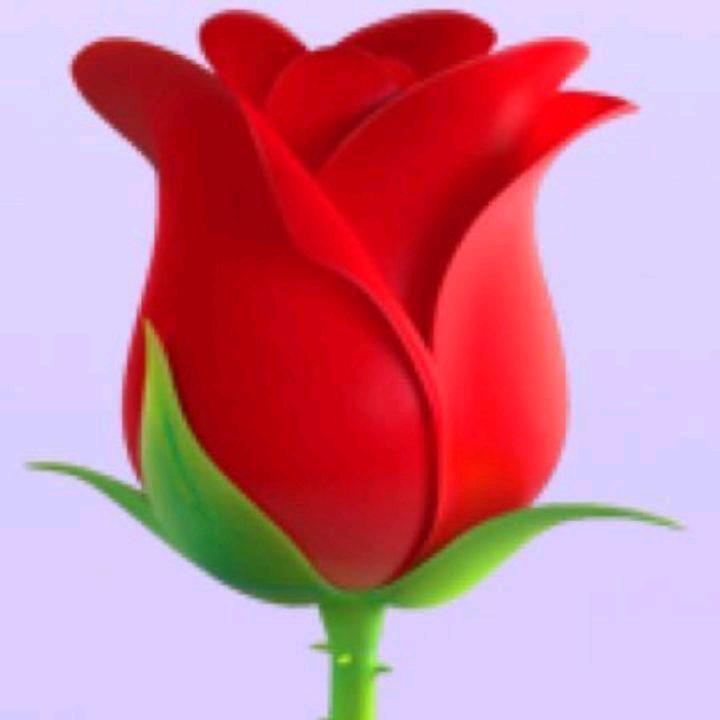 独一无二。伤心。