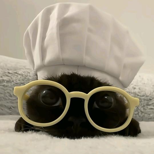 叼根辣条闯天下