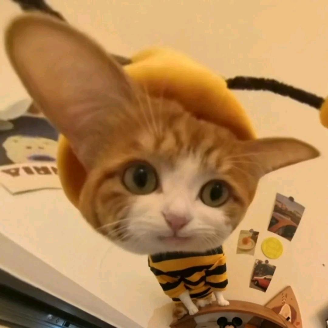 力道大地仿佛要把人揉进骨子里！