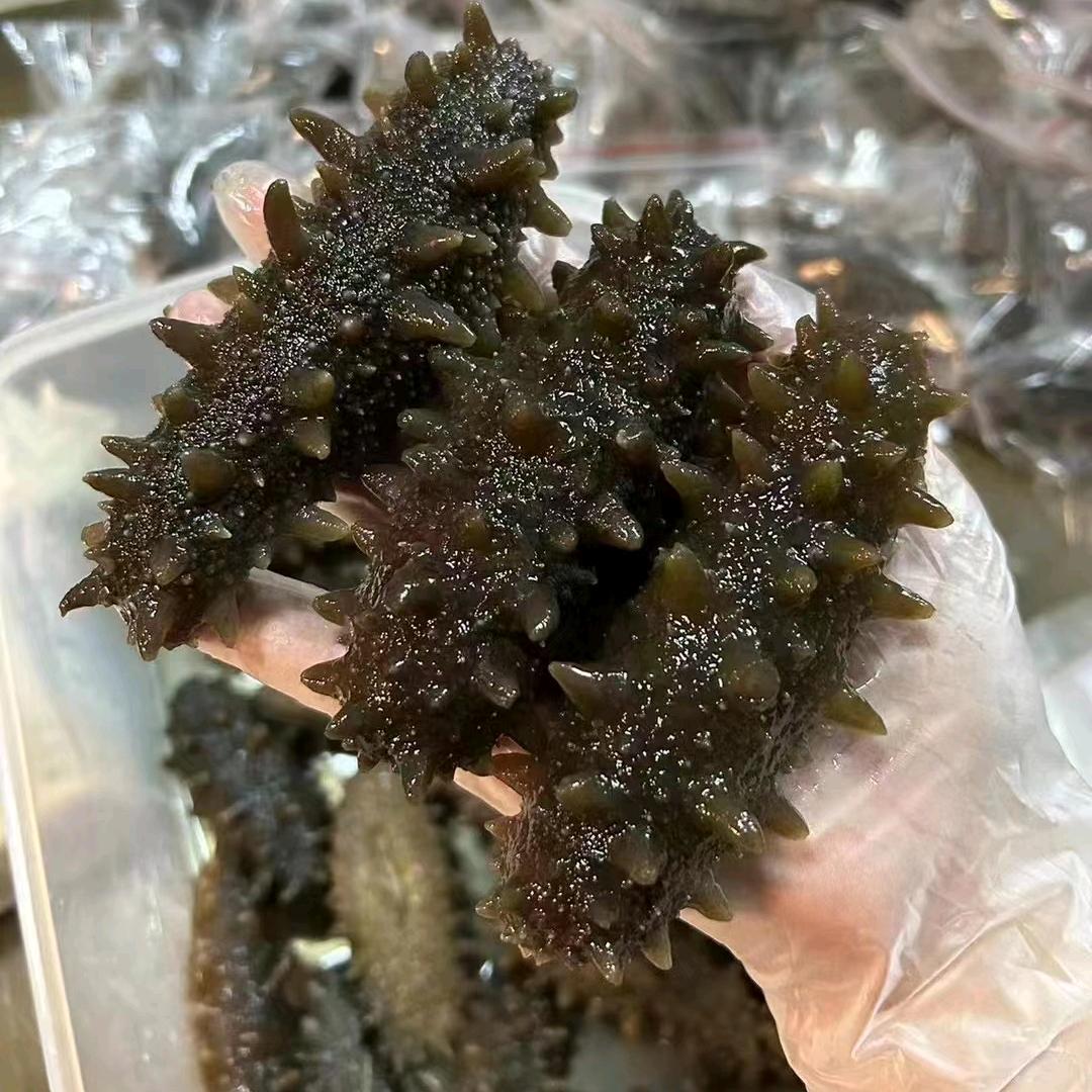 三只海参食品销售有限公司