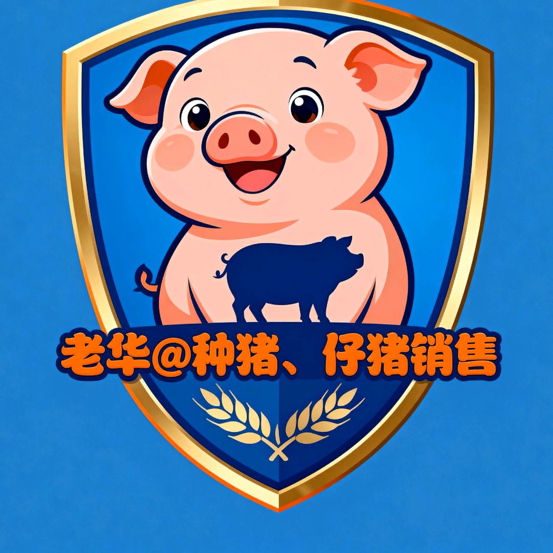 带你养猪奔小康