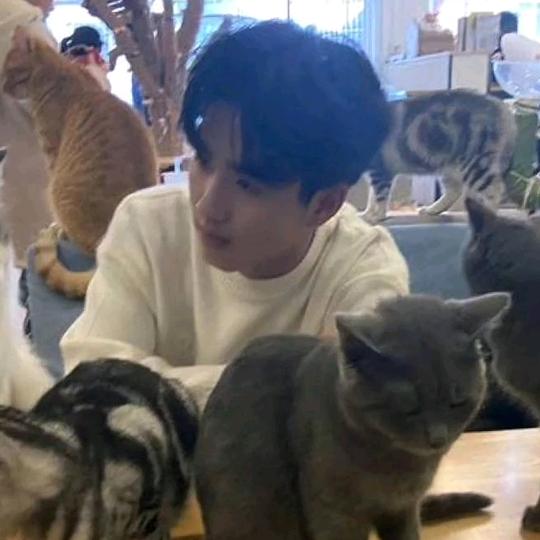 张子翔