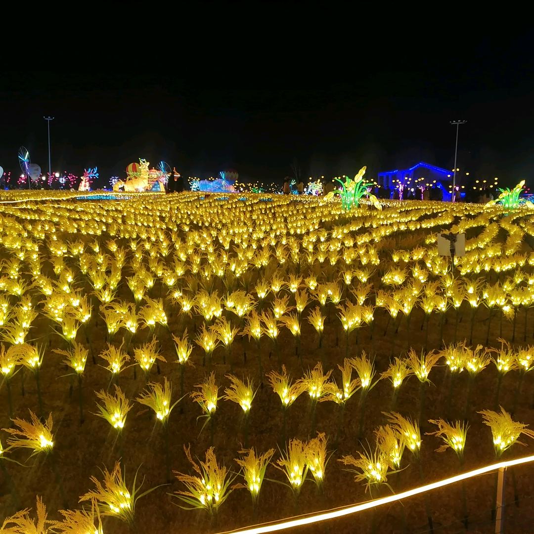 社会复杂爷简单