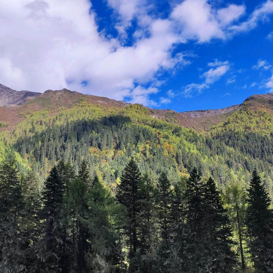 用户6334910888675在水一方