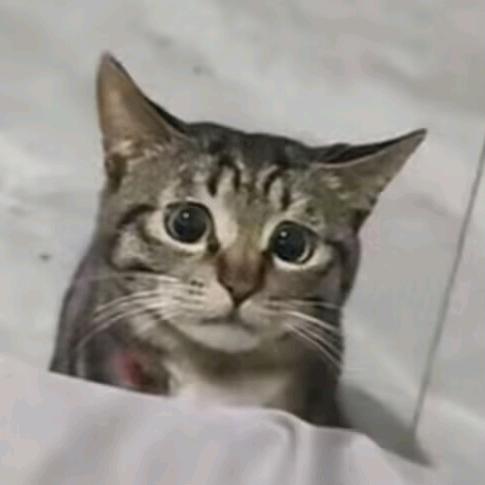 愿为逝者哀哭