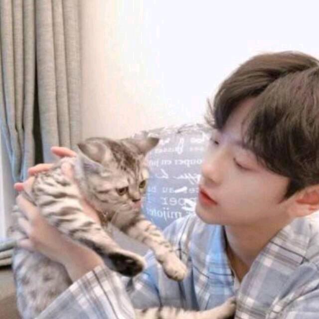 开德原帕的布鲁斯