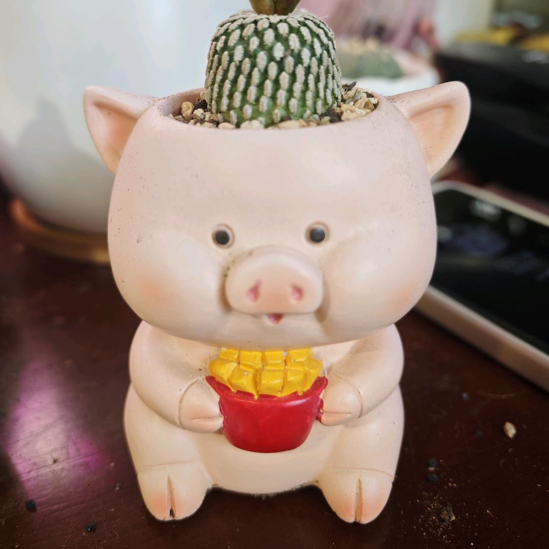 小爵爷头像