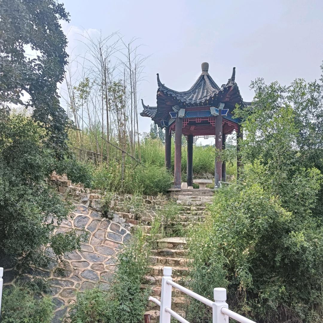 戴老四（二两半）
