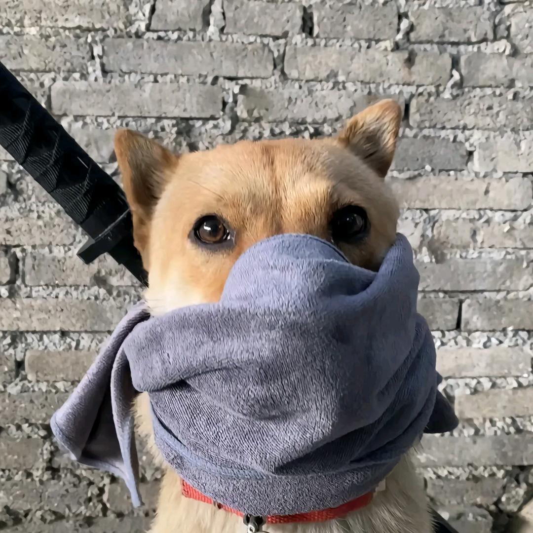 游手好闲的硕大人