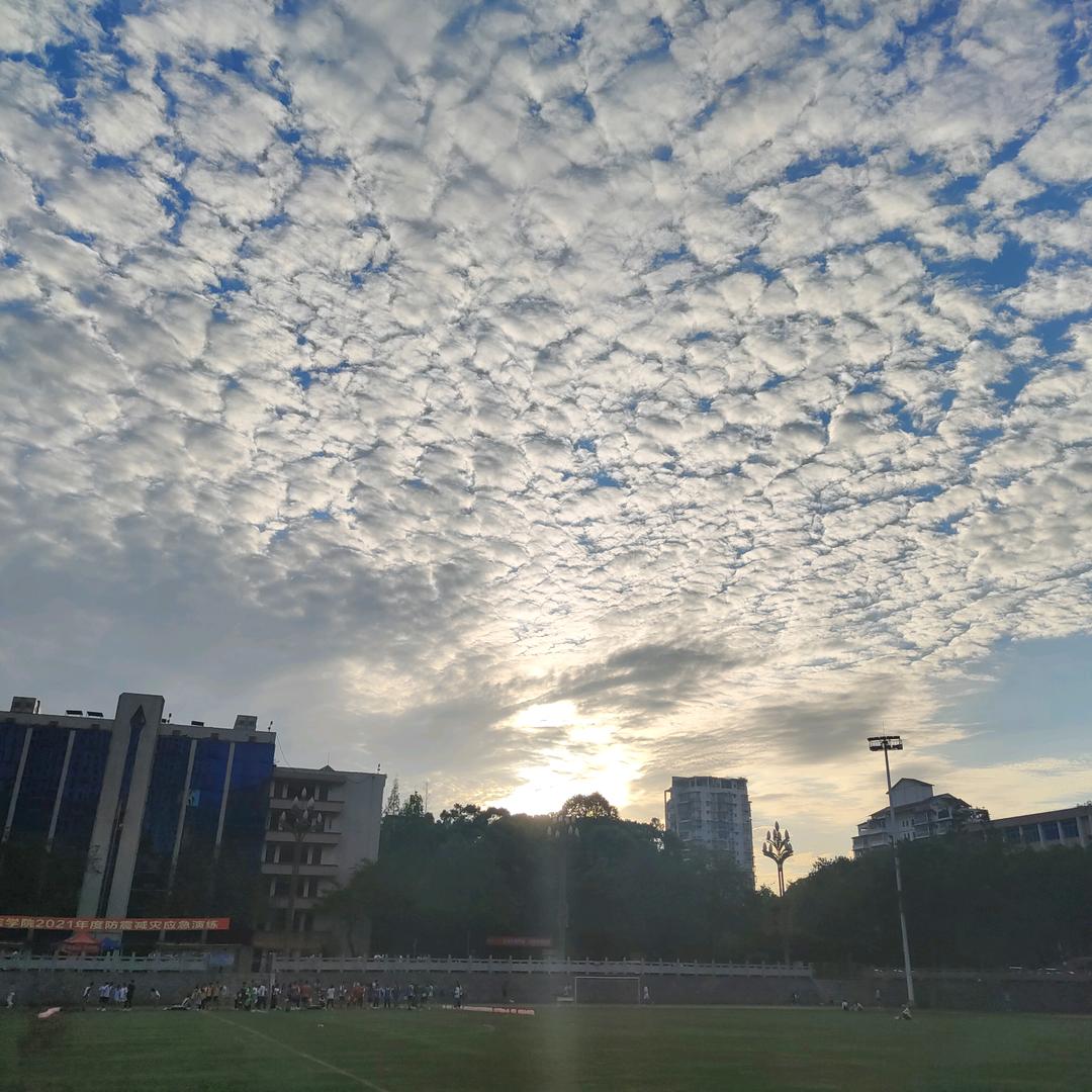 智乐方手机宜宾天光星城店长