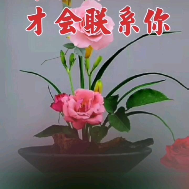 有钱真好