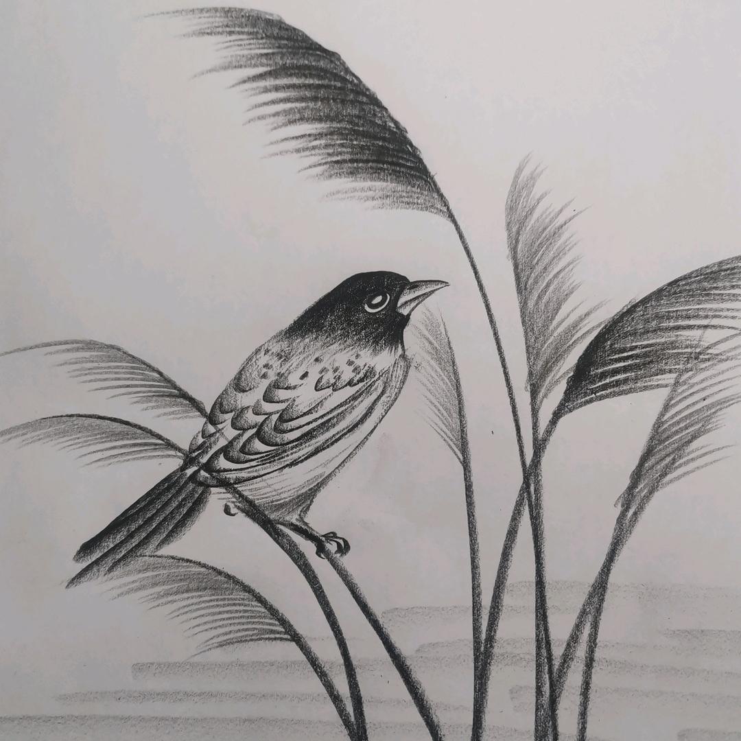 爱画画的时老师