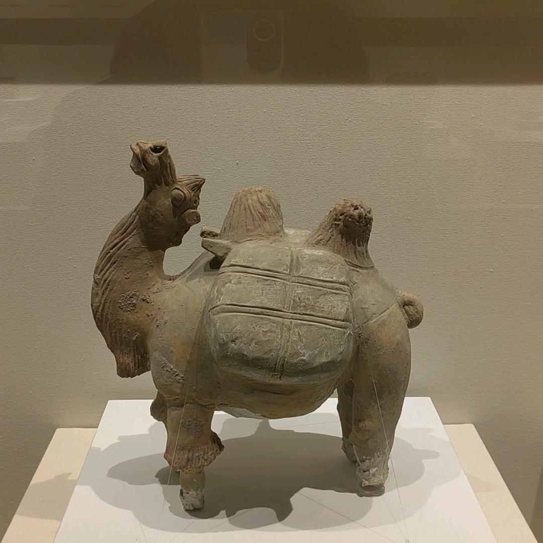 追寻者