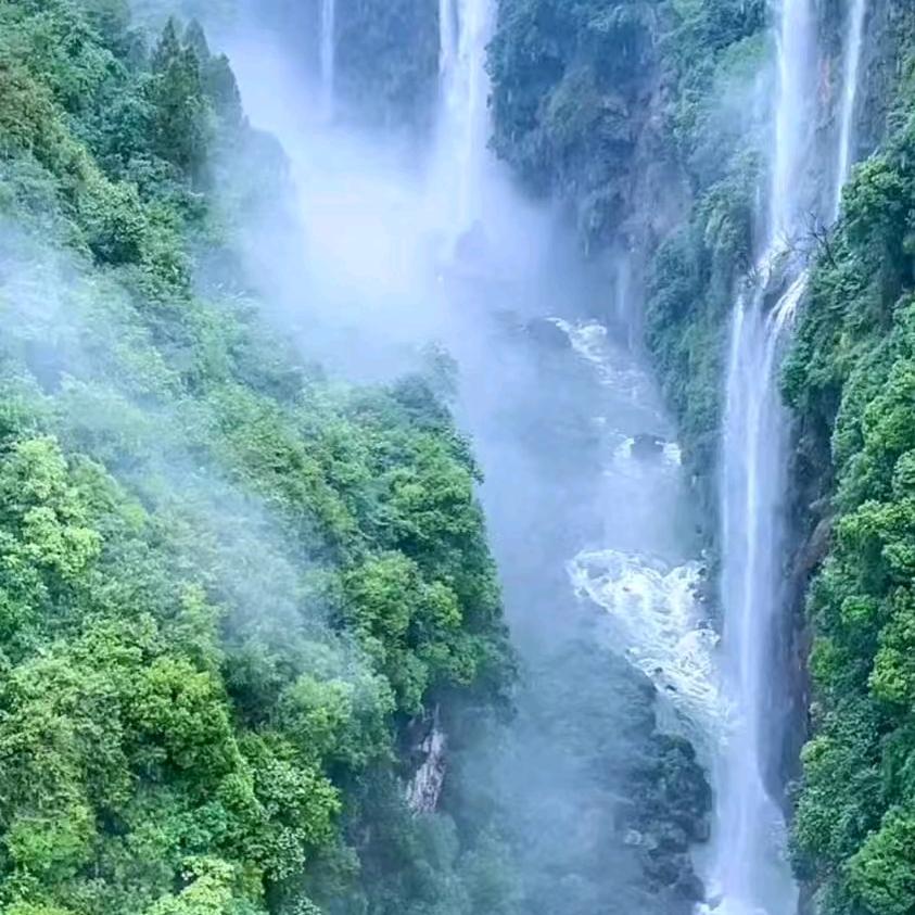 美好生活的陪伴者