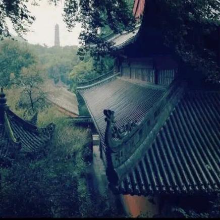 橘橘の呼噜呼噜