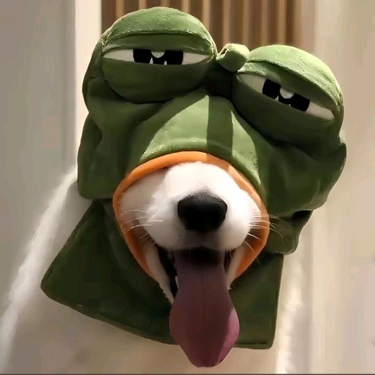 www.