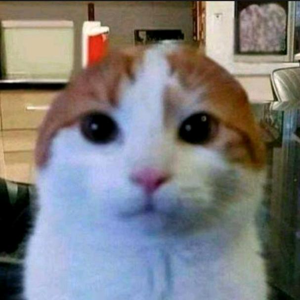 小忆