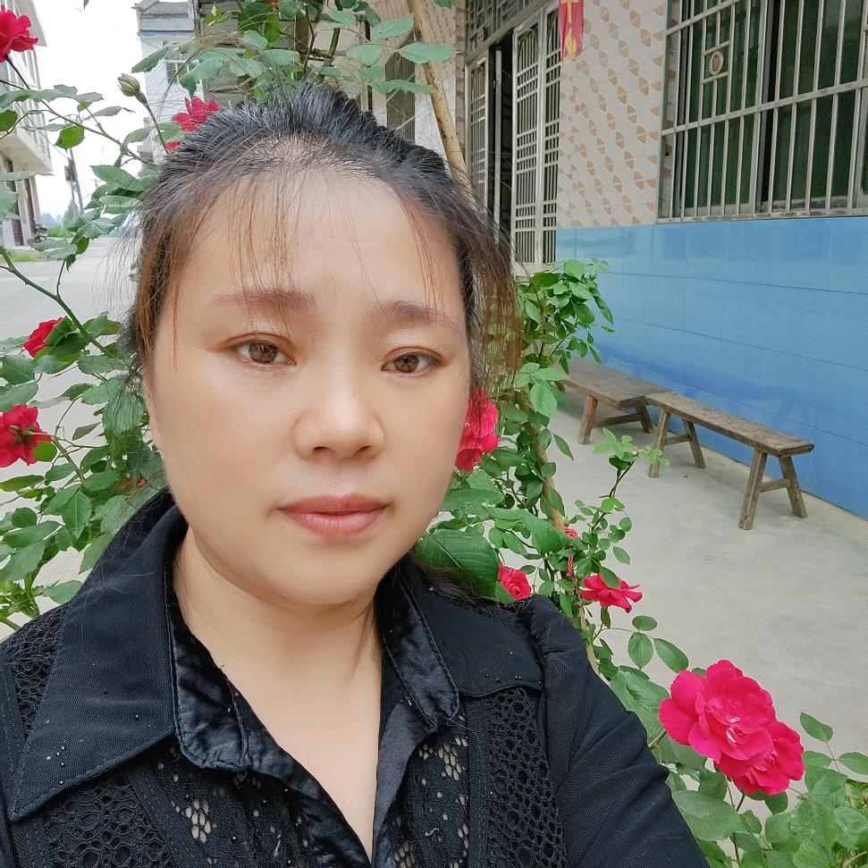 秀林姐
