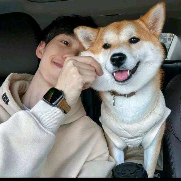 辰-