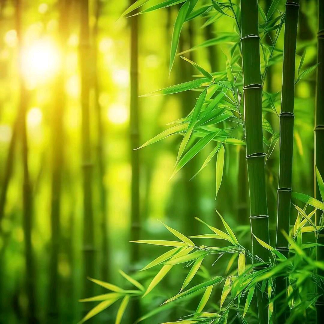 我为人人网络科技有限公司