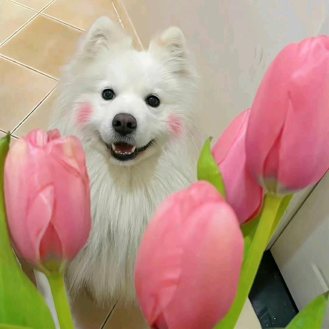 辛如止水