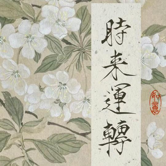 易美丝