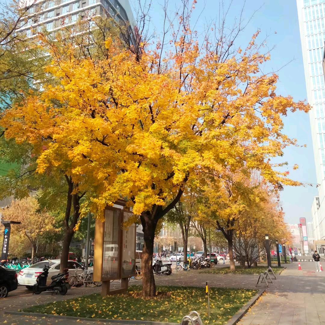 你没错，是我没本事